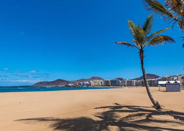 Boutique Cordial Malteses (adults Only)